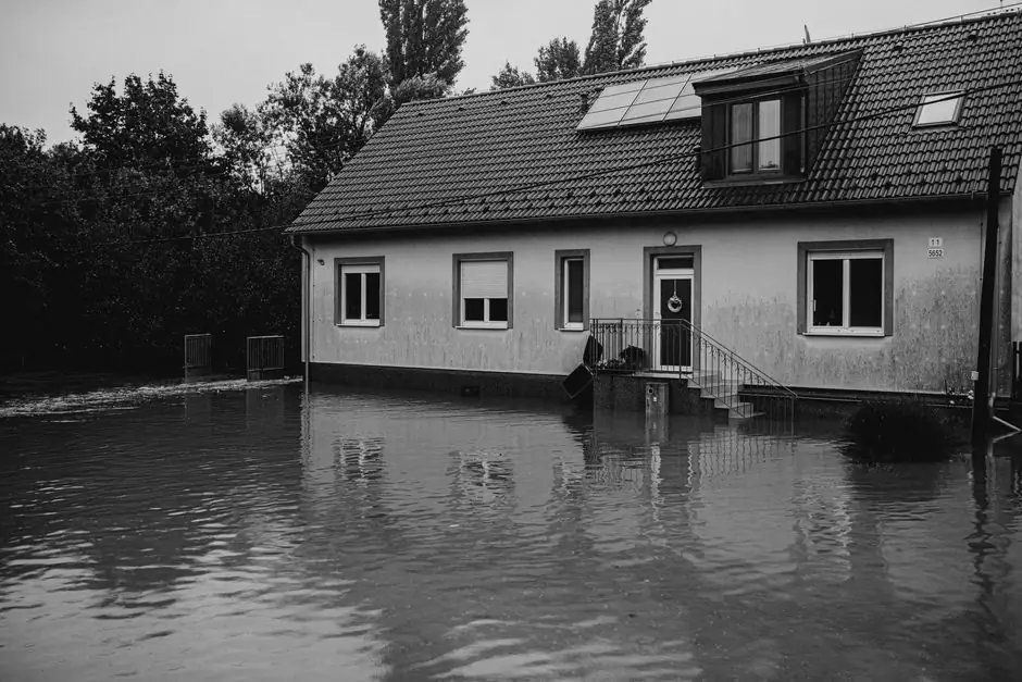 Arizona Water Damage Pros ready to serve Phoenix