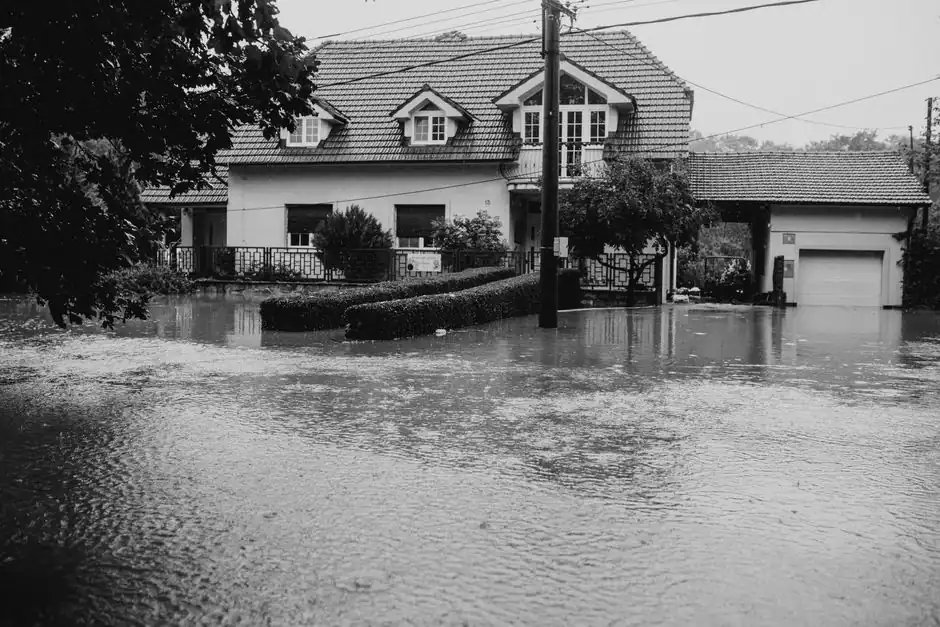 Arizona Water Damage Pros ready to serve Chinle
