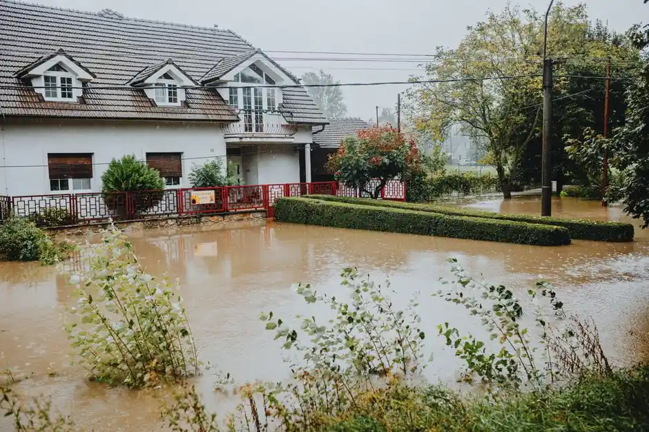 Arizona Water Damage Pros team