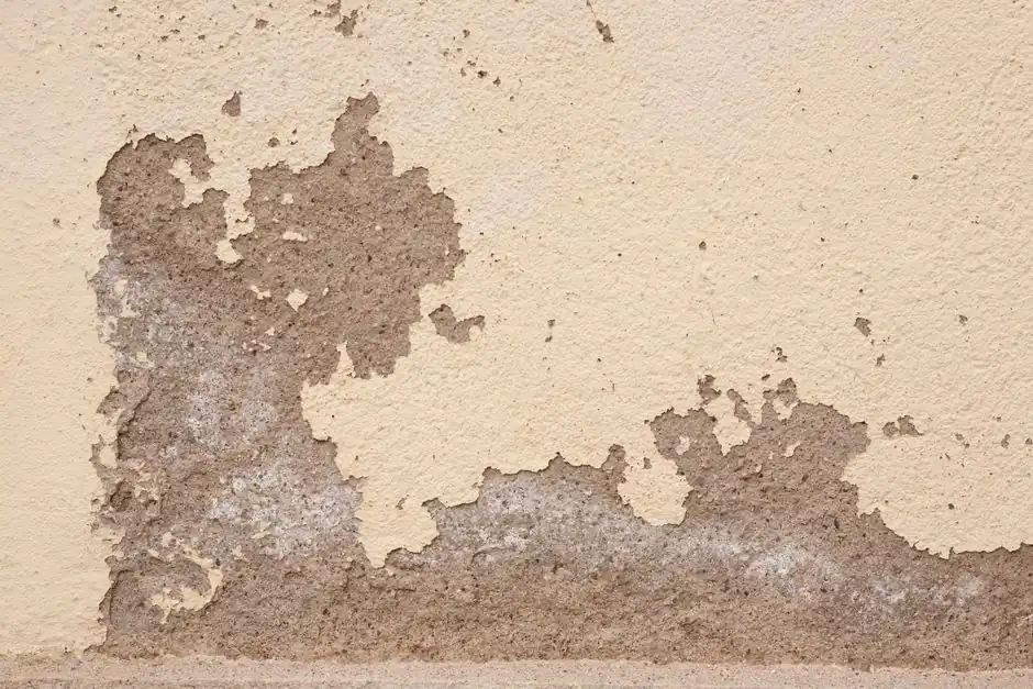 Arizona Water Damage Pros ready to serve Three Points